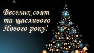 З Новим 2018 роком!!!